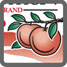 example-logo